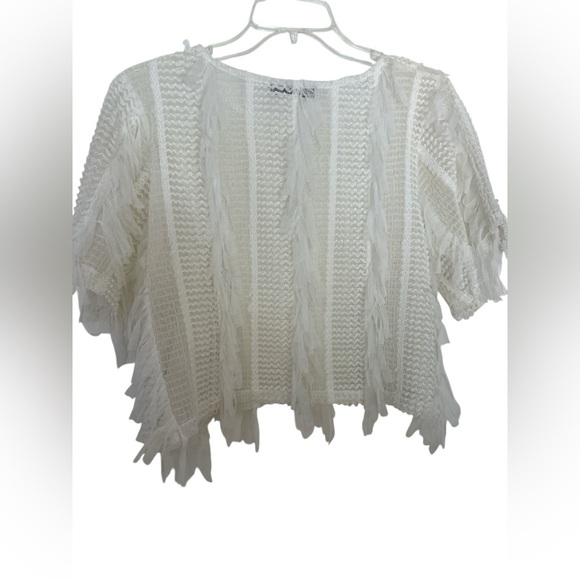 ZARA Blouse Crop Top Semi Sheer FEATHER Fringe NWOT - Picture 2 of 6